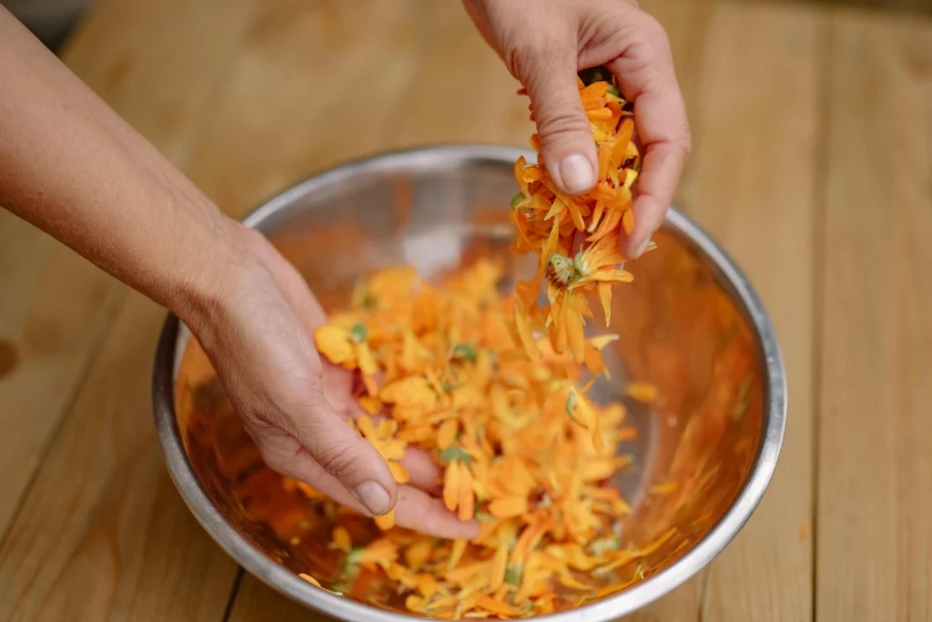 calendula