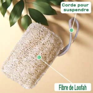 éponge végétale